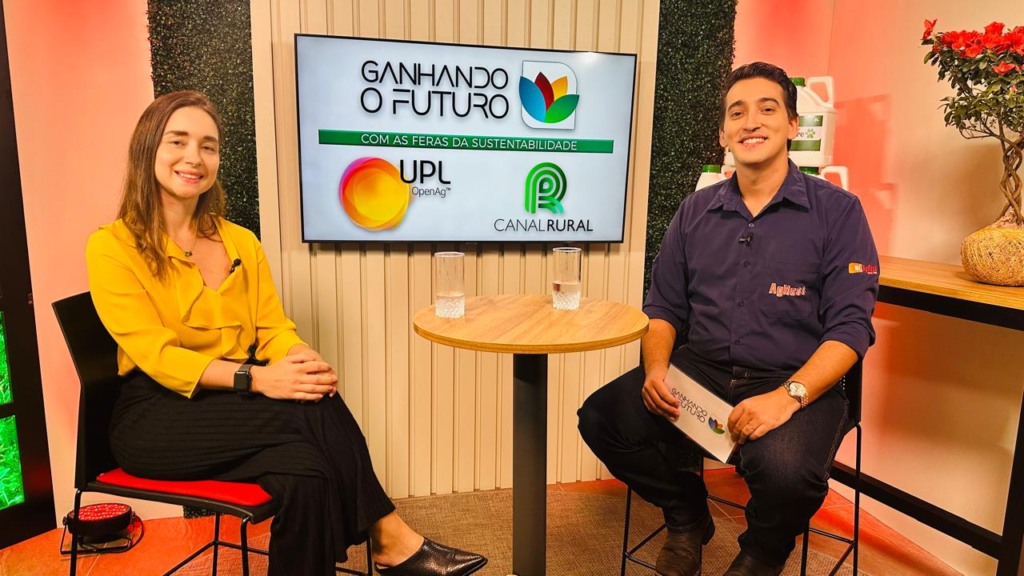 Armazenagem inadequada pode gerar perdas de até 15% na produção de grãos, alerta especialista